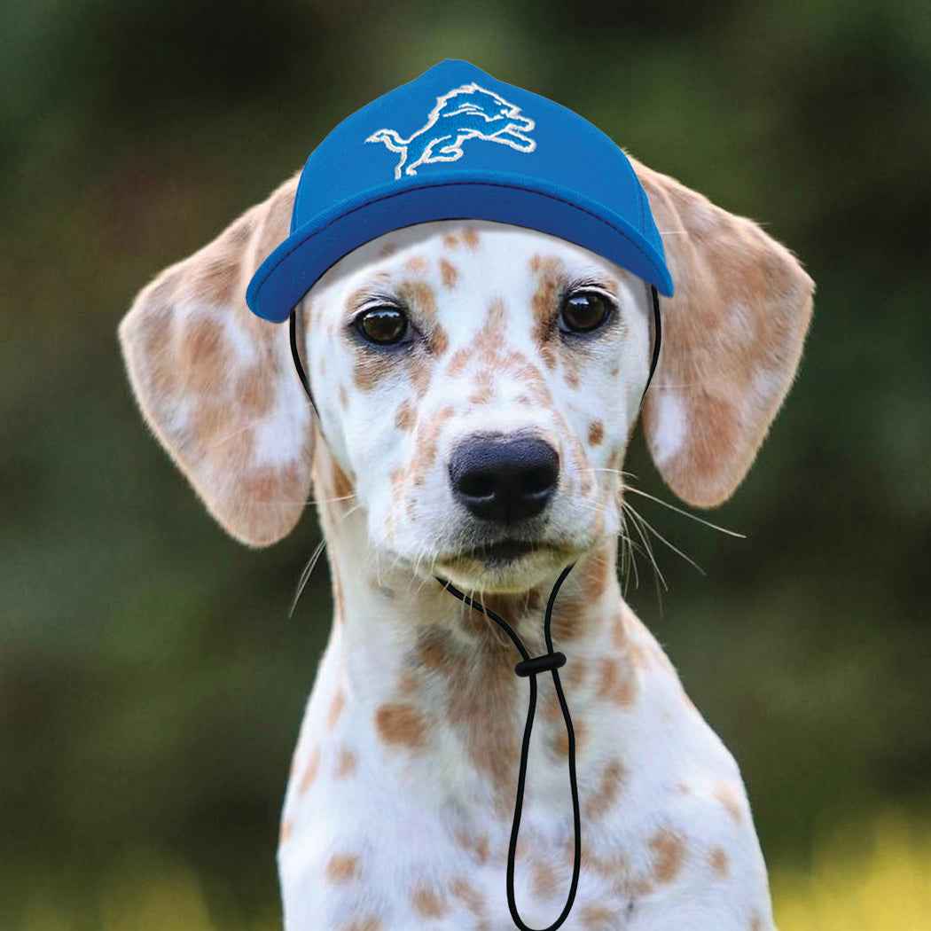 NFL Detroit Lions Dog Hat