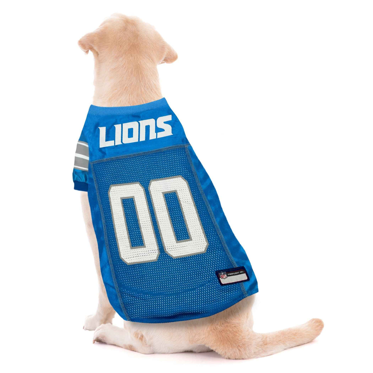 NFL Detroit Lions Striped Mesh Pet Jersey