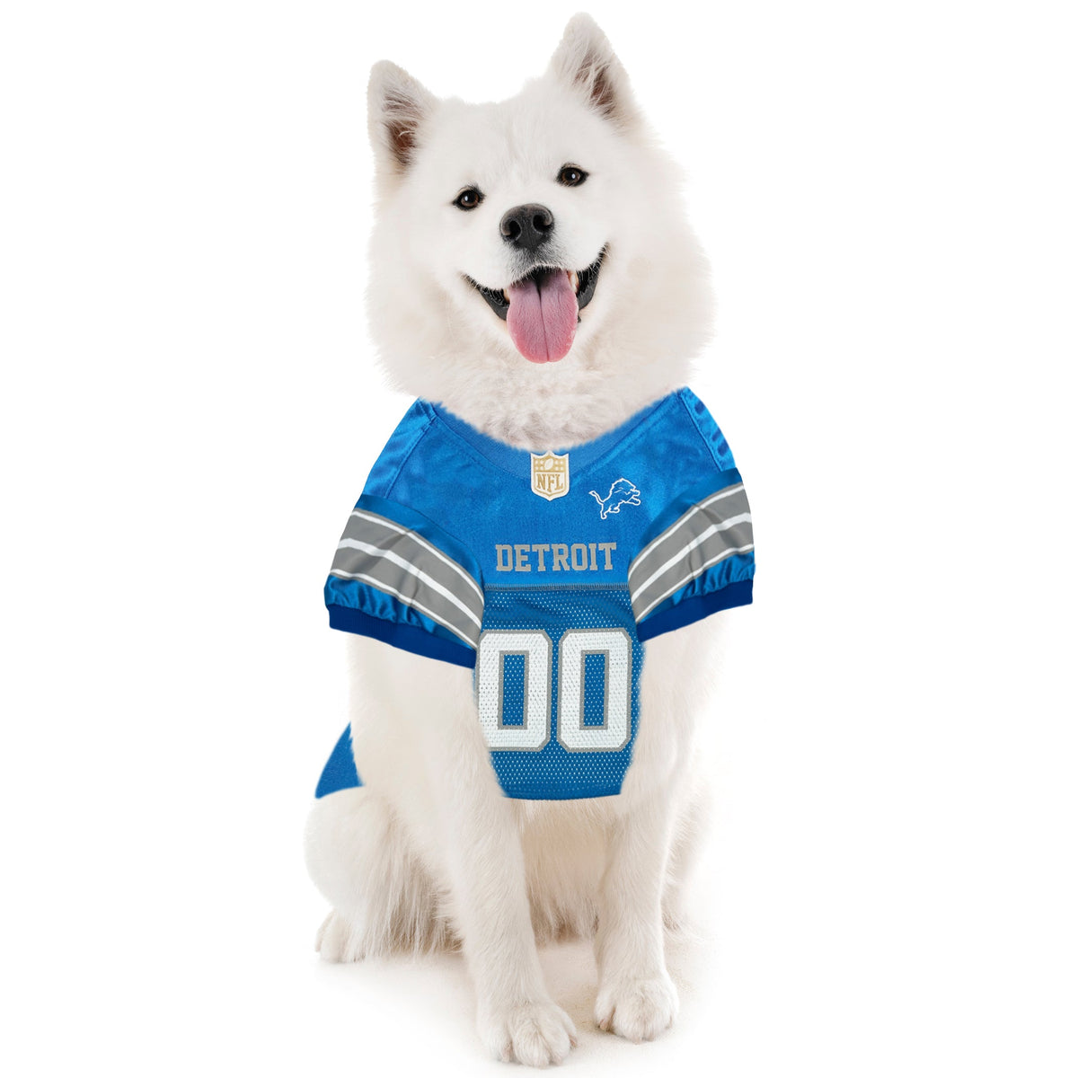 NFL Detroit Lions Striped Mesh Pet Jersey
