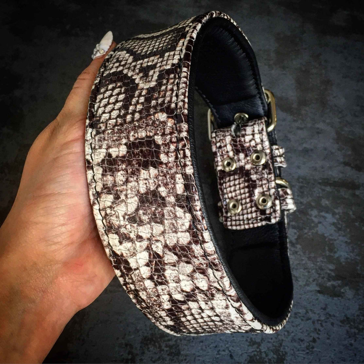Bestia Rock Python Leather Dog Collar