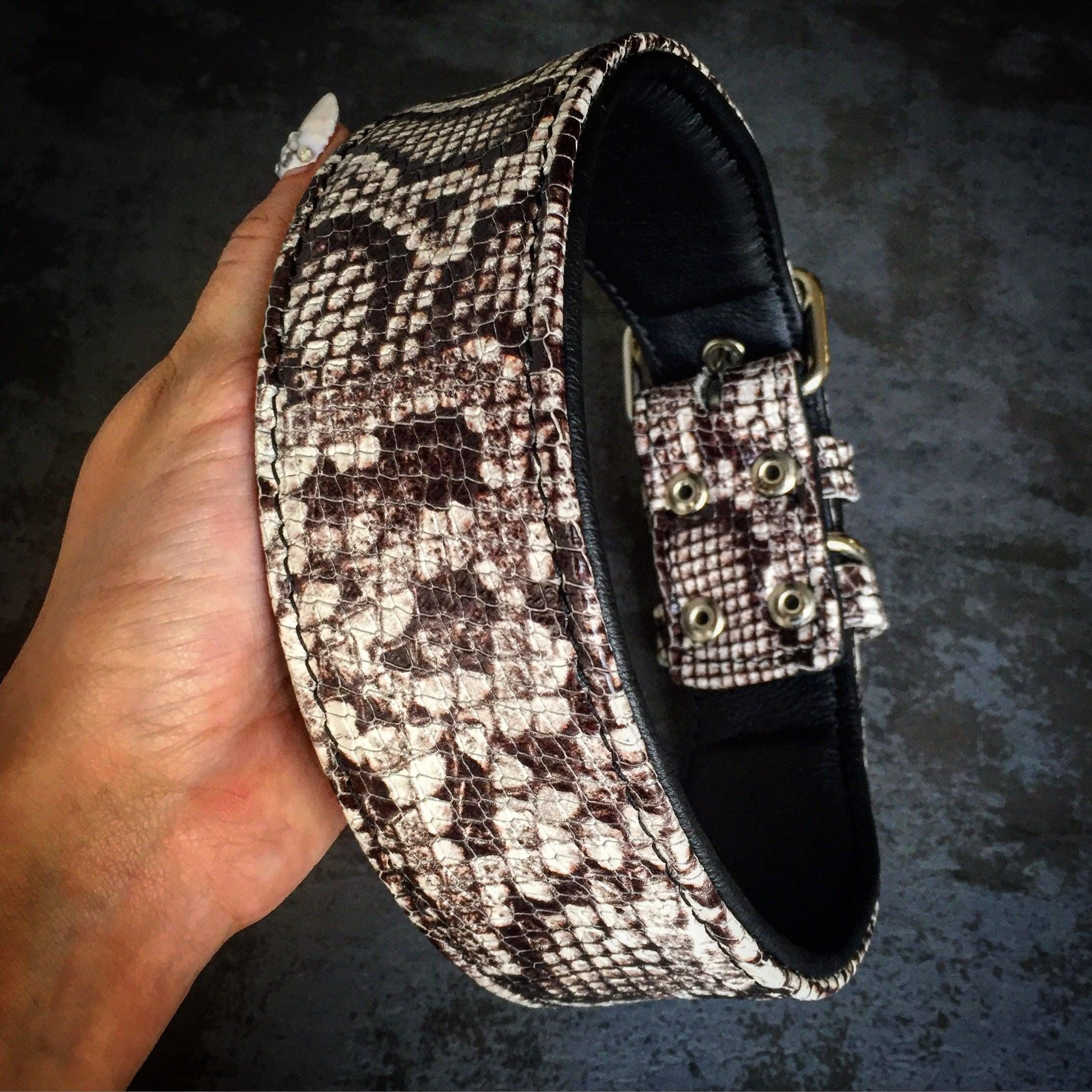 The Rock Python collar