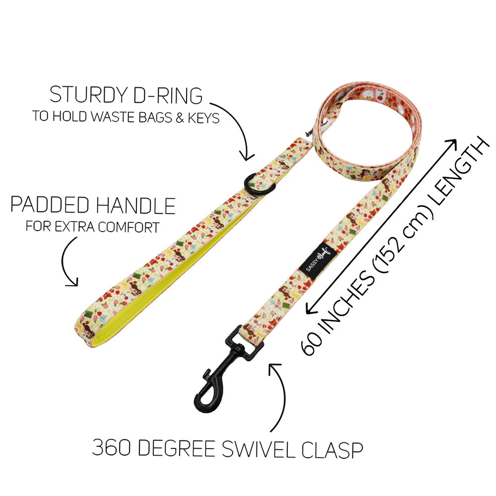 Dog Leash - Disneys Belle