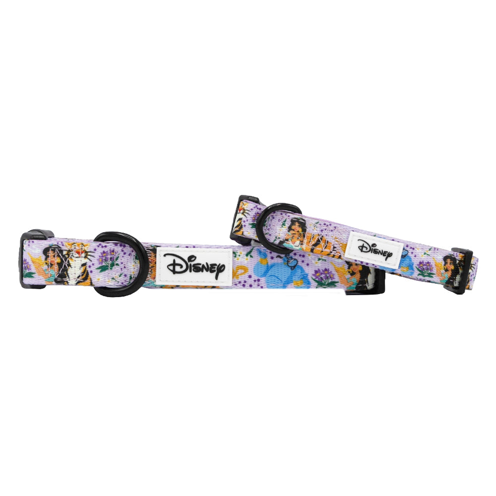 Dog Collar - Disneys Jasmine