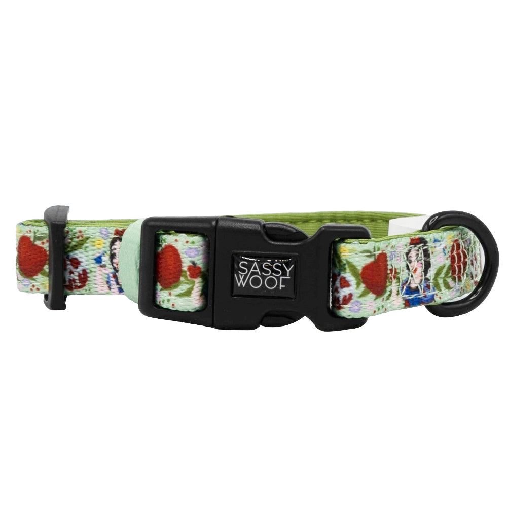 Dog Collar - Disneys Snow White