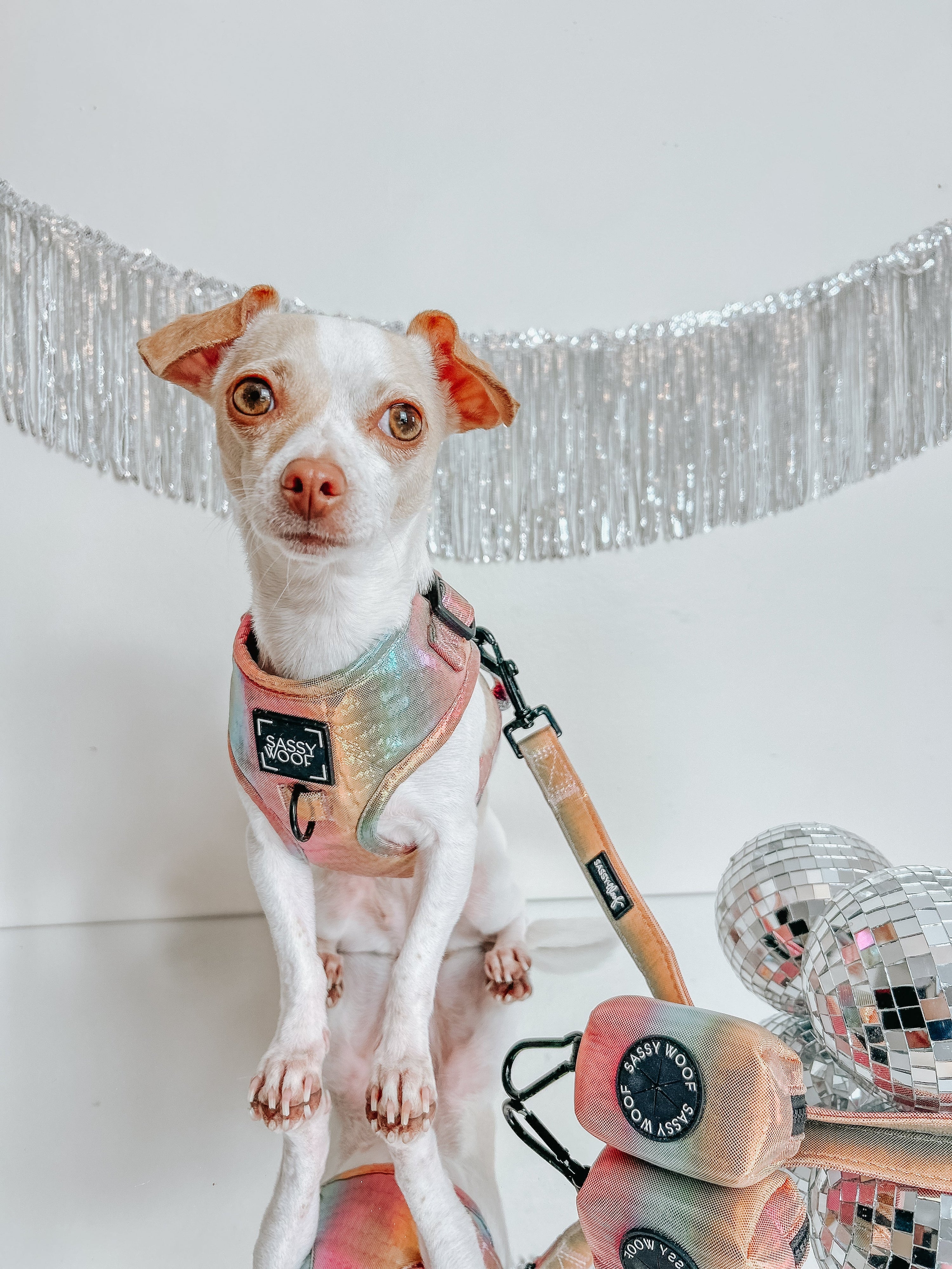 Dog Adjustable Harness - The Night Life