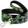 Buckle-Down Marvel Hulk Poses Dog Leash