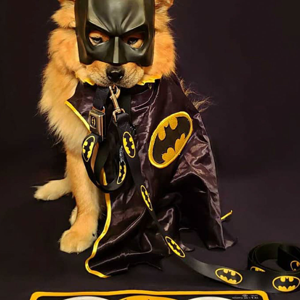 Dog Leash - Batman Shield Black/Yellow 