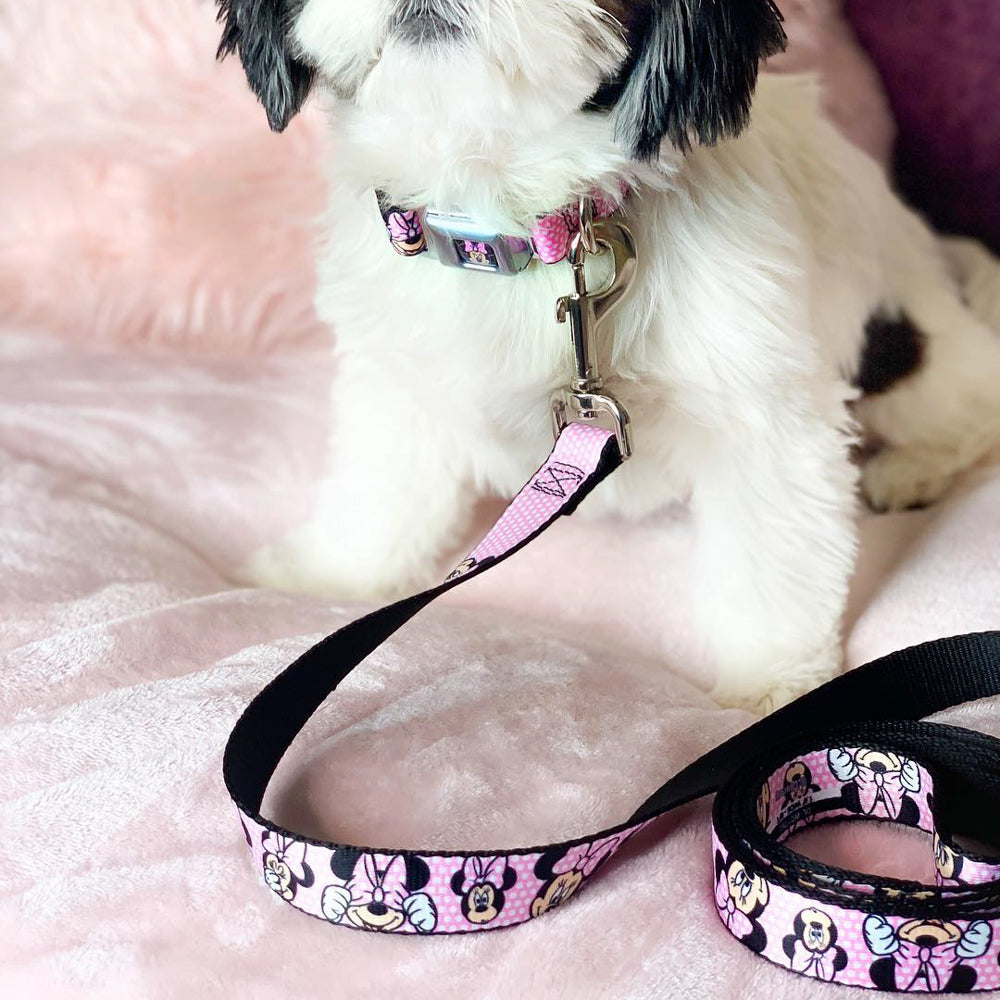 Dog Leash - Minnie Mouse Expressions Polka Dot Pink/White 