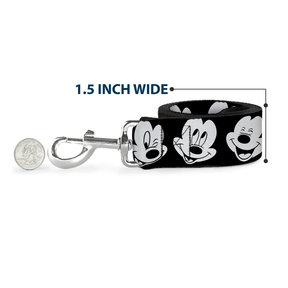 Dog Leash - Disney Princess Blocks 