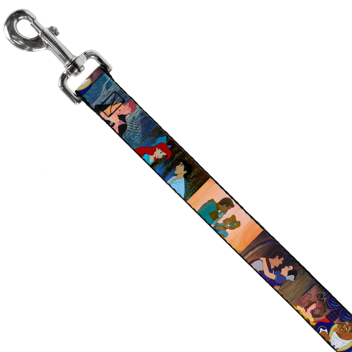 Dog Leash - Disney Princess Scenes Framed 