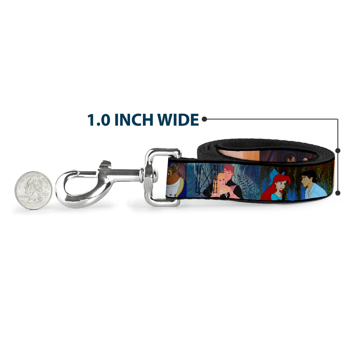 Dog Leash - Disney Princess Scenes Framed 