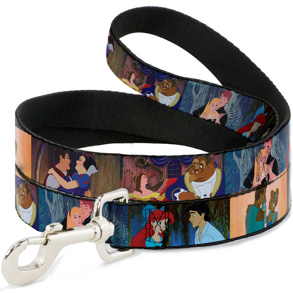 Dog Leash - Disney Princess Scenes Framed 