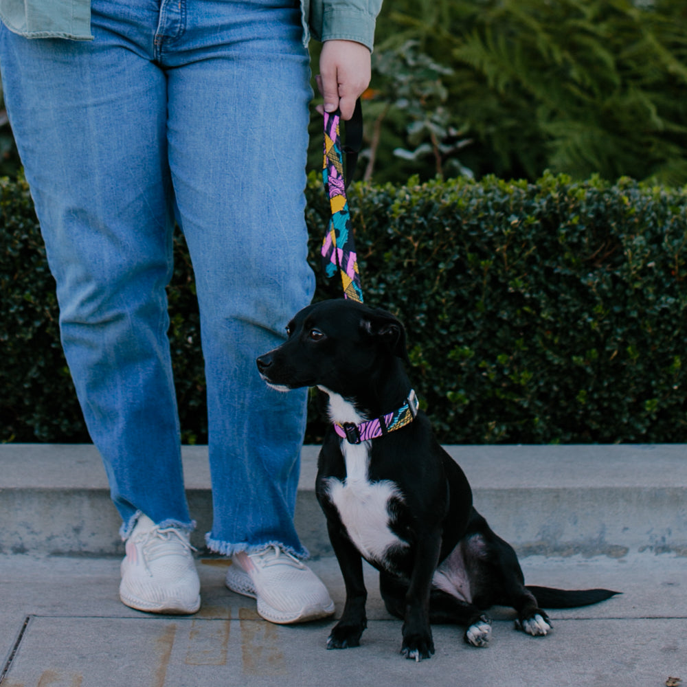 Dog Leash - Nightmare Before Christmas Sally Dress Patchwork 