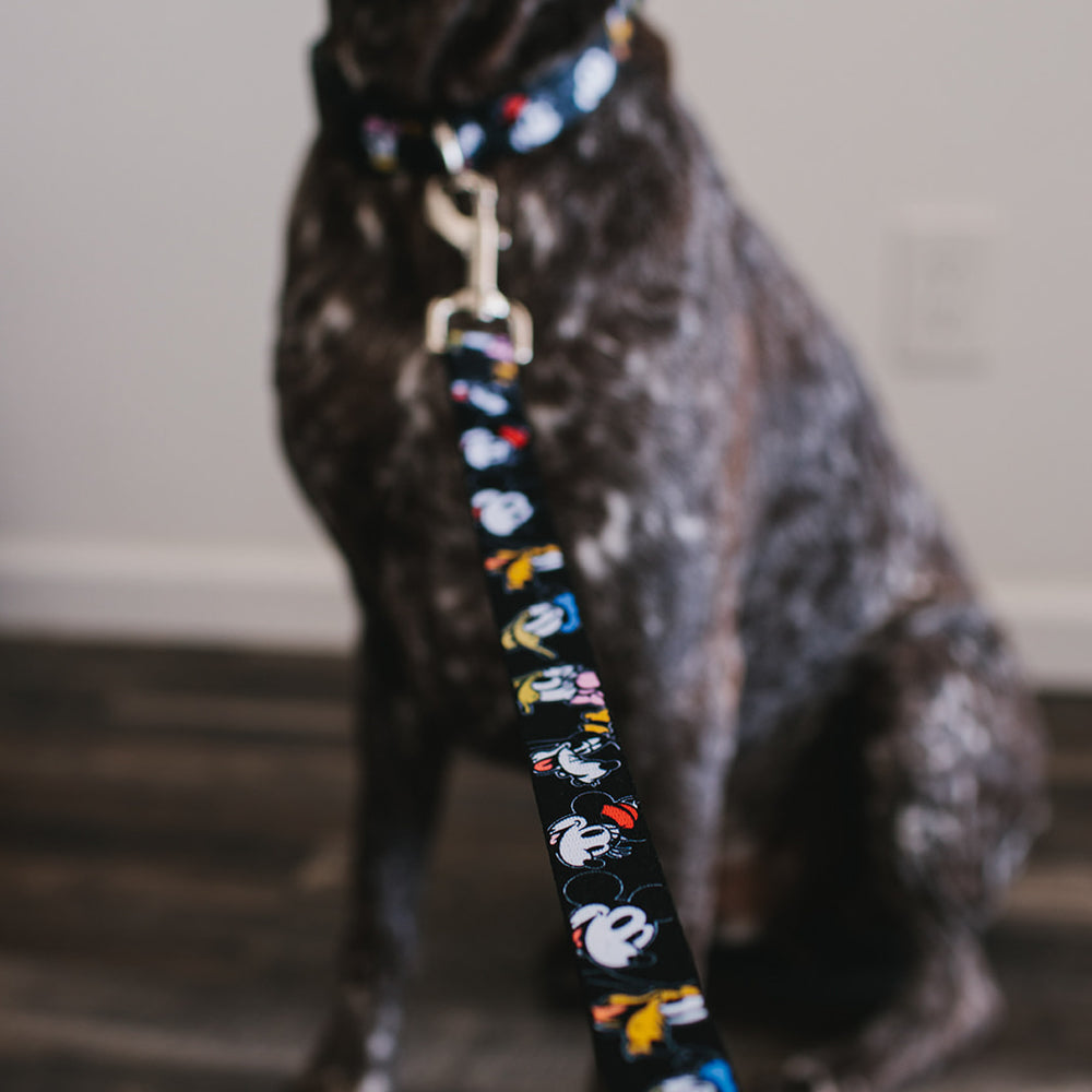Dog Leash - Disney The Sensational Six Smiling Faces Black 