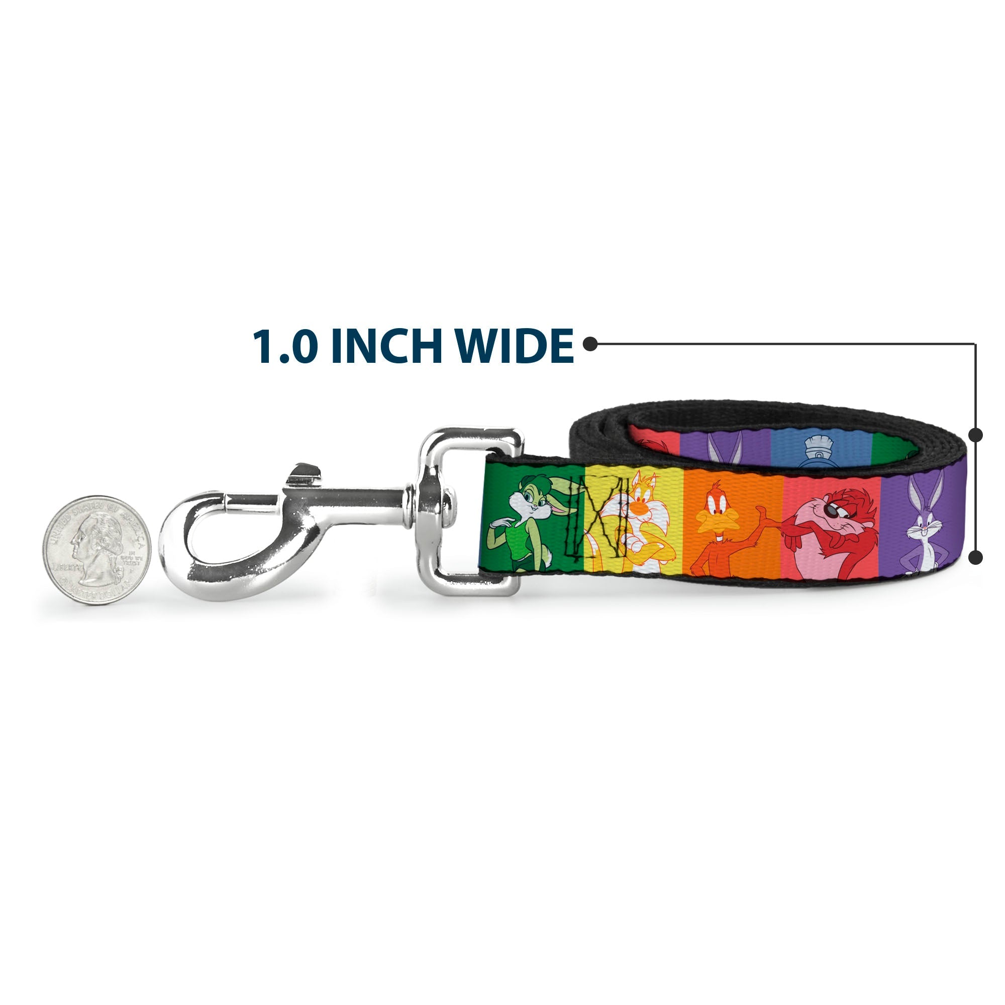 Dog Leash - Looney Tunes 6-Character Pose Pride Blocks Multi Color
