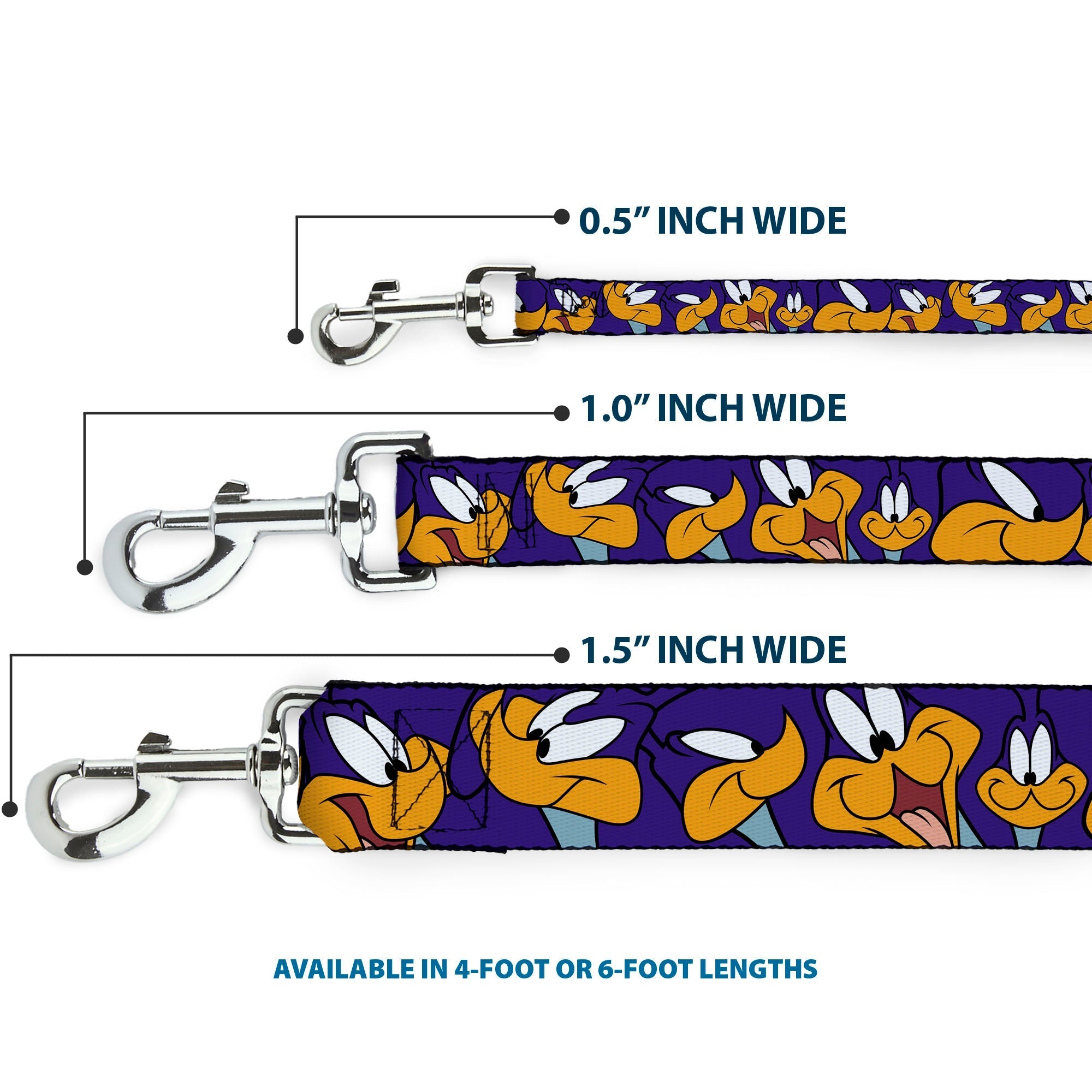Dog Leash - Road Runner Expressions Royal