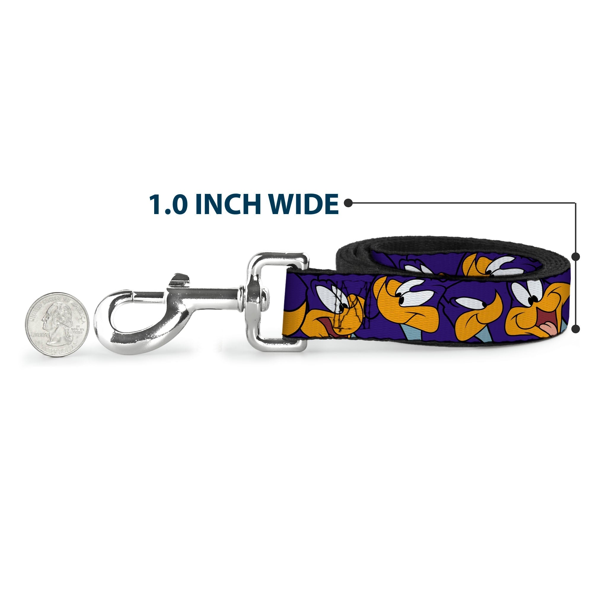 Dog Leash - Road Runner Expressions Royal