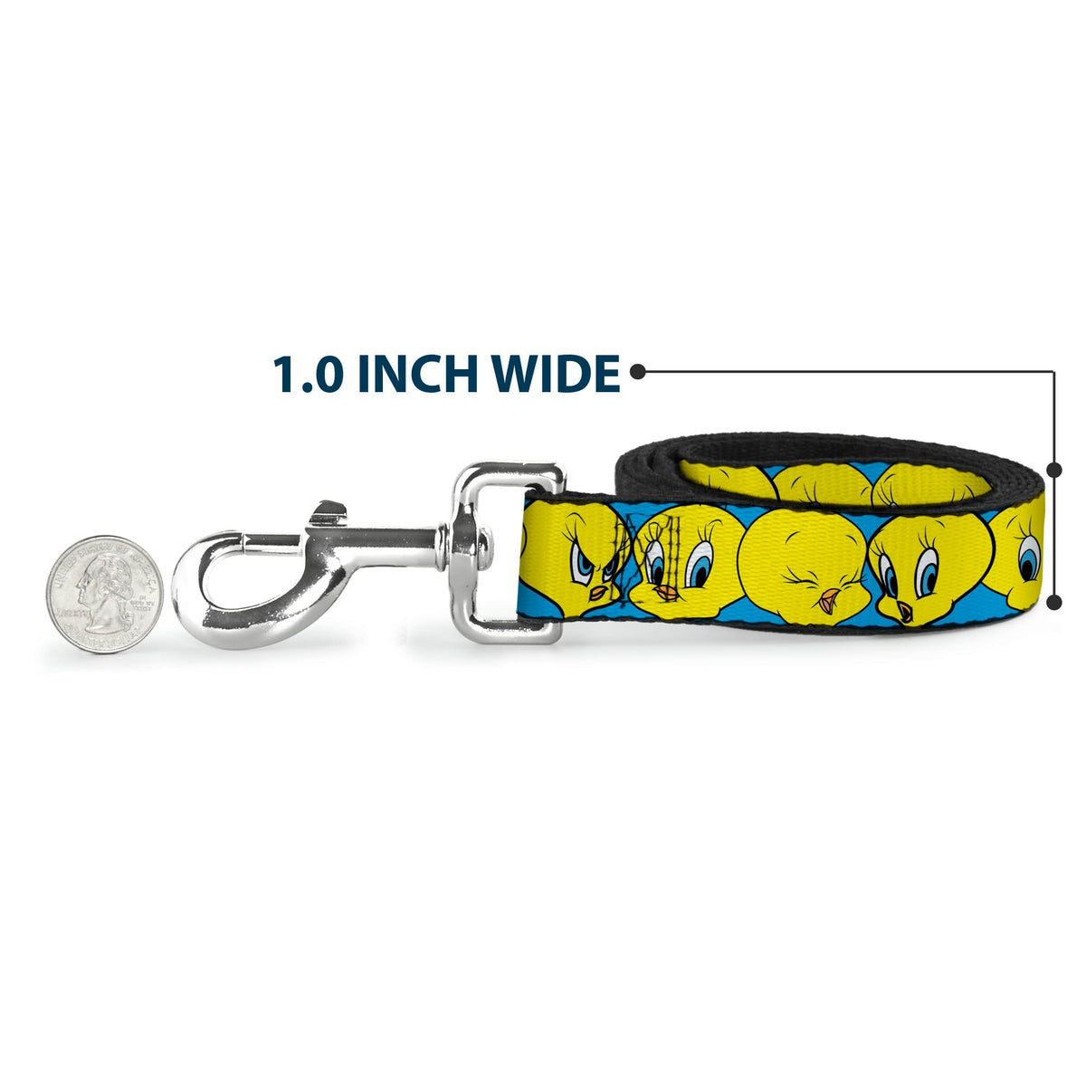 Dog Leash - Tweety Bird CLOSE-UP Expressions Baby Blue 