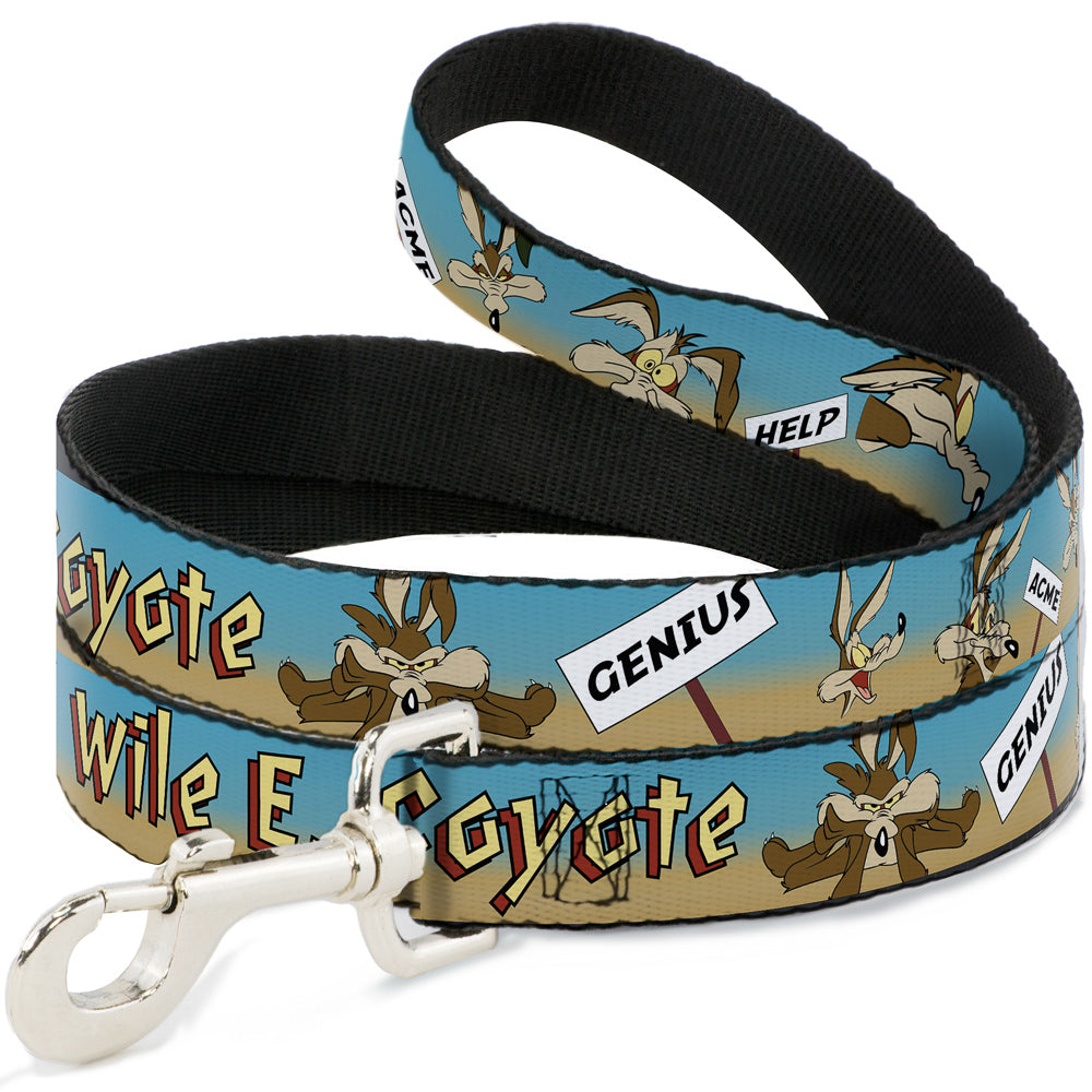 Dog Leash - WILE E. COYOTE Expressions/Signs Desert 