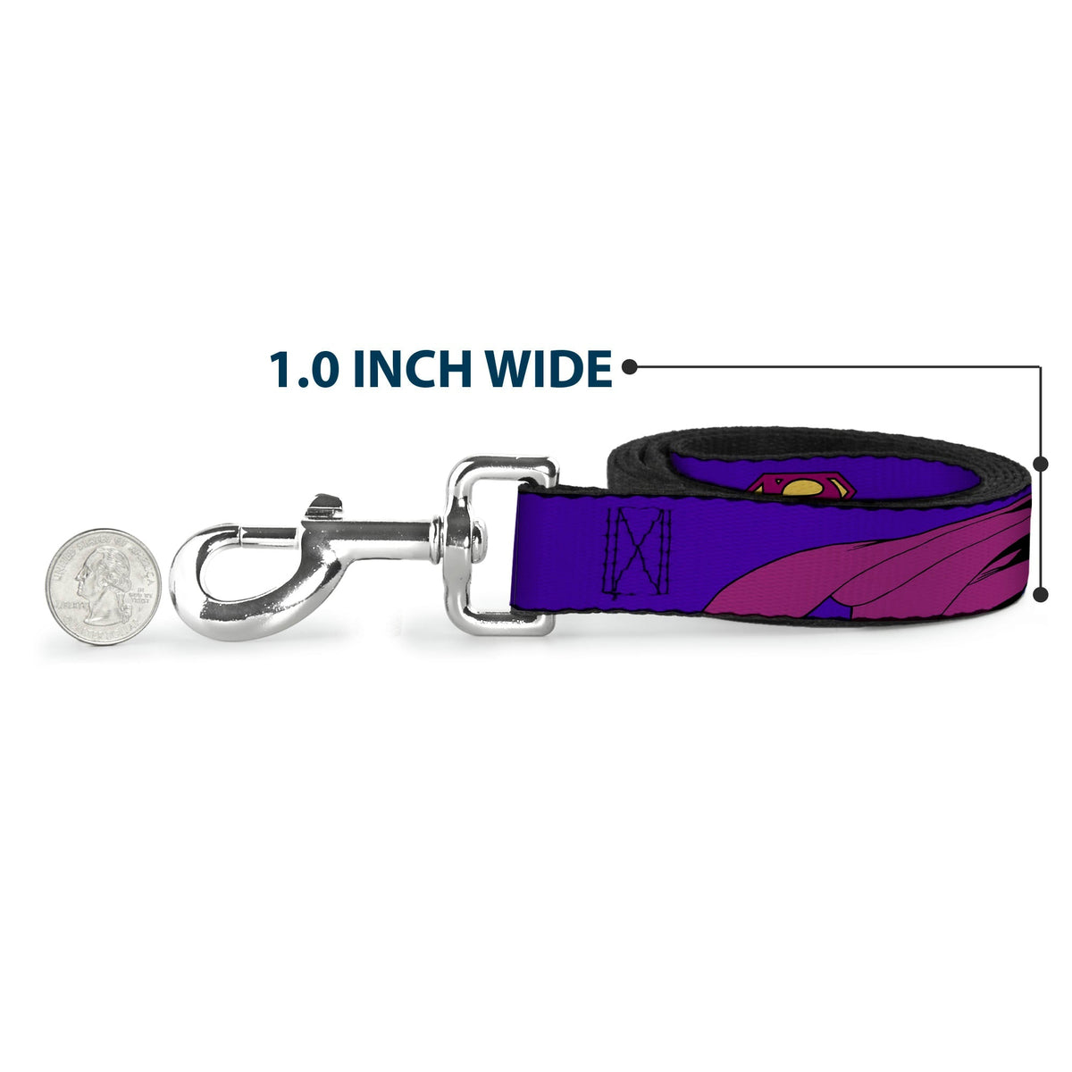 Dog Leash - Bizzaro Logo w/Bizzaro Pose 