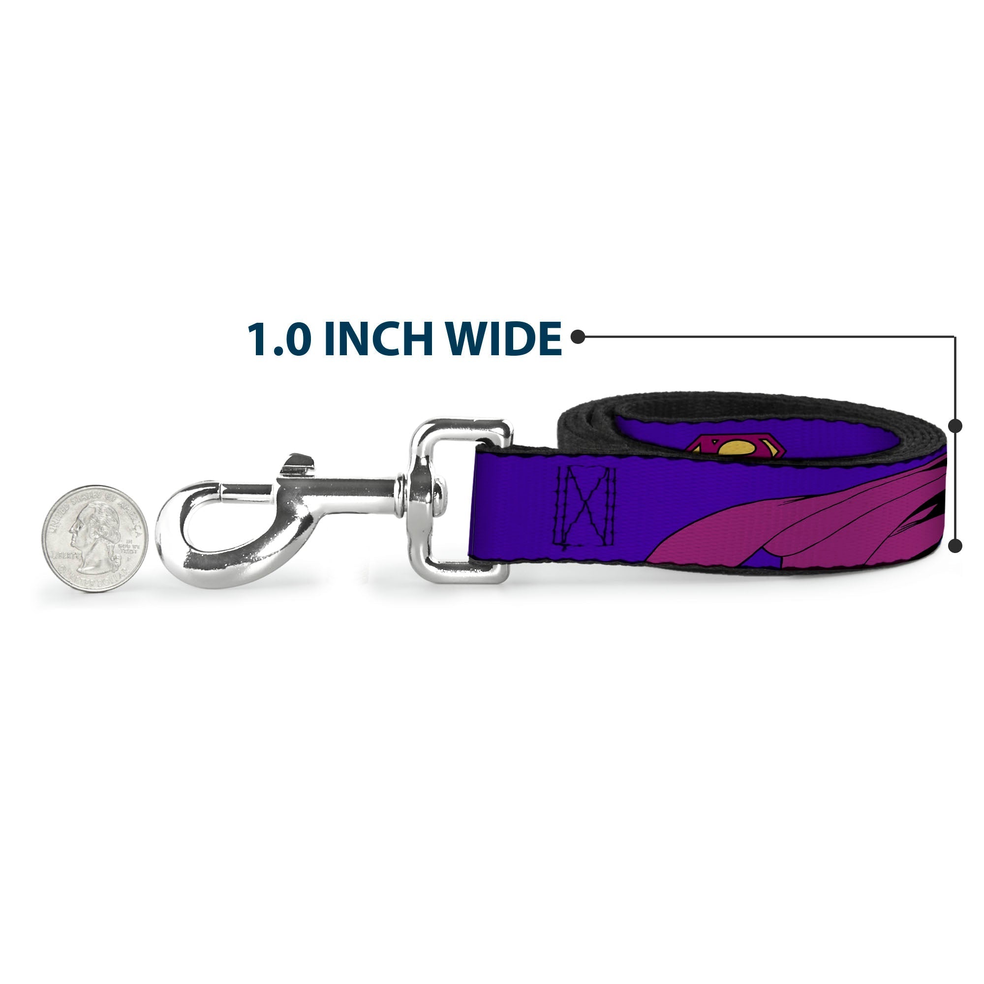 Dog Leash - Bizzaro Logo w/Bizzaro Pose 