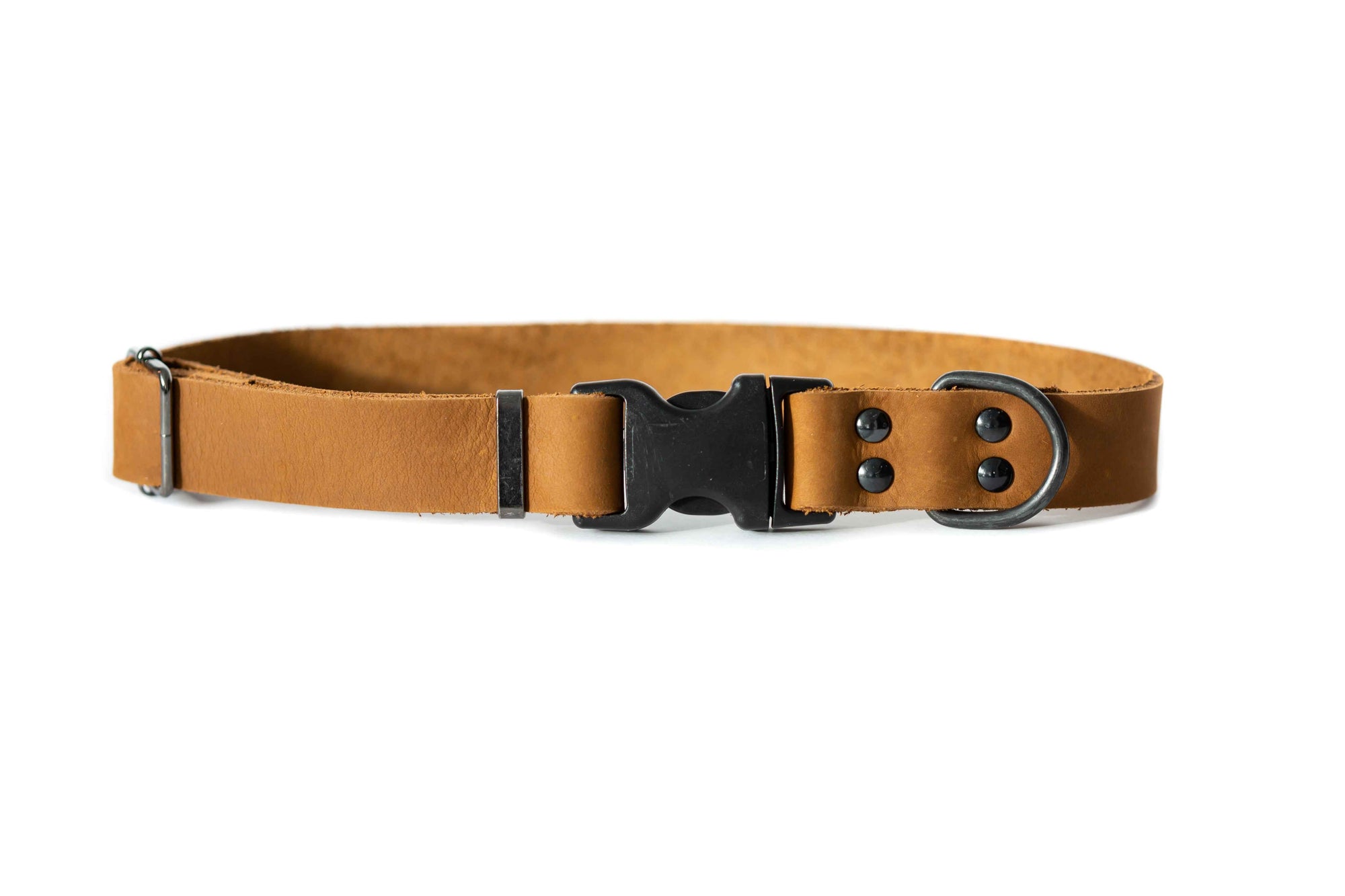 Euro-Dog Sport Leather Dog Collar
