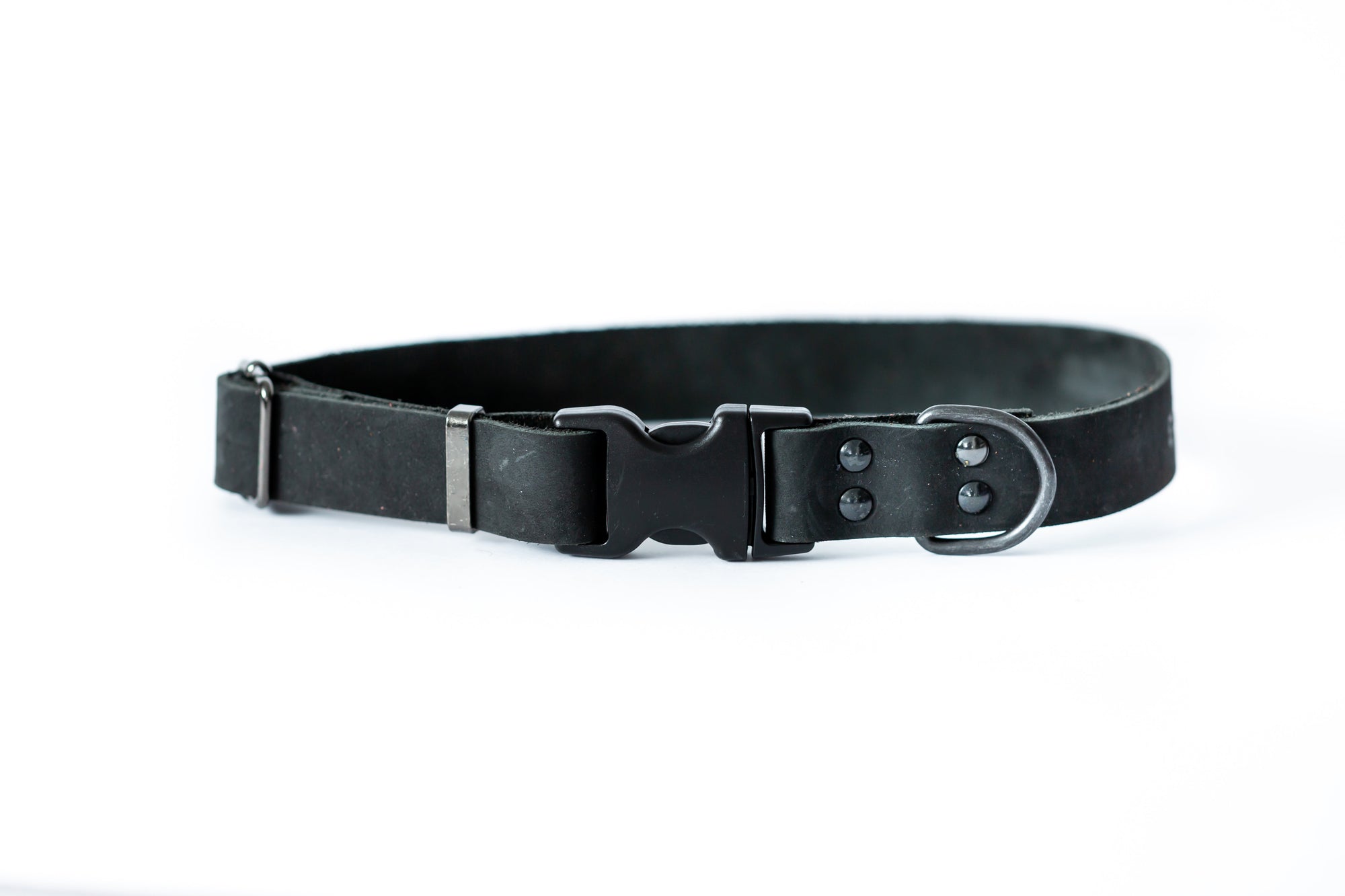 Euro-Dog Sport Leather Dog Collar