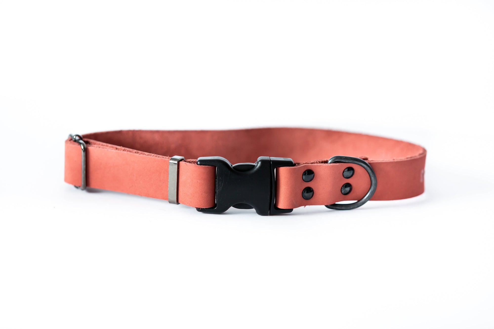 Euro-Dog Sport Leather Dog Collar