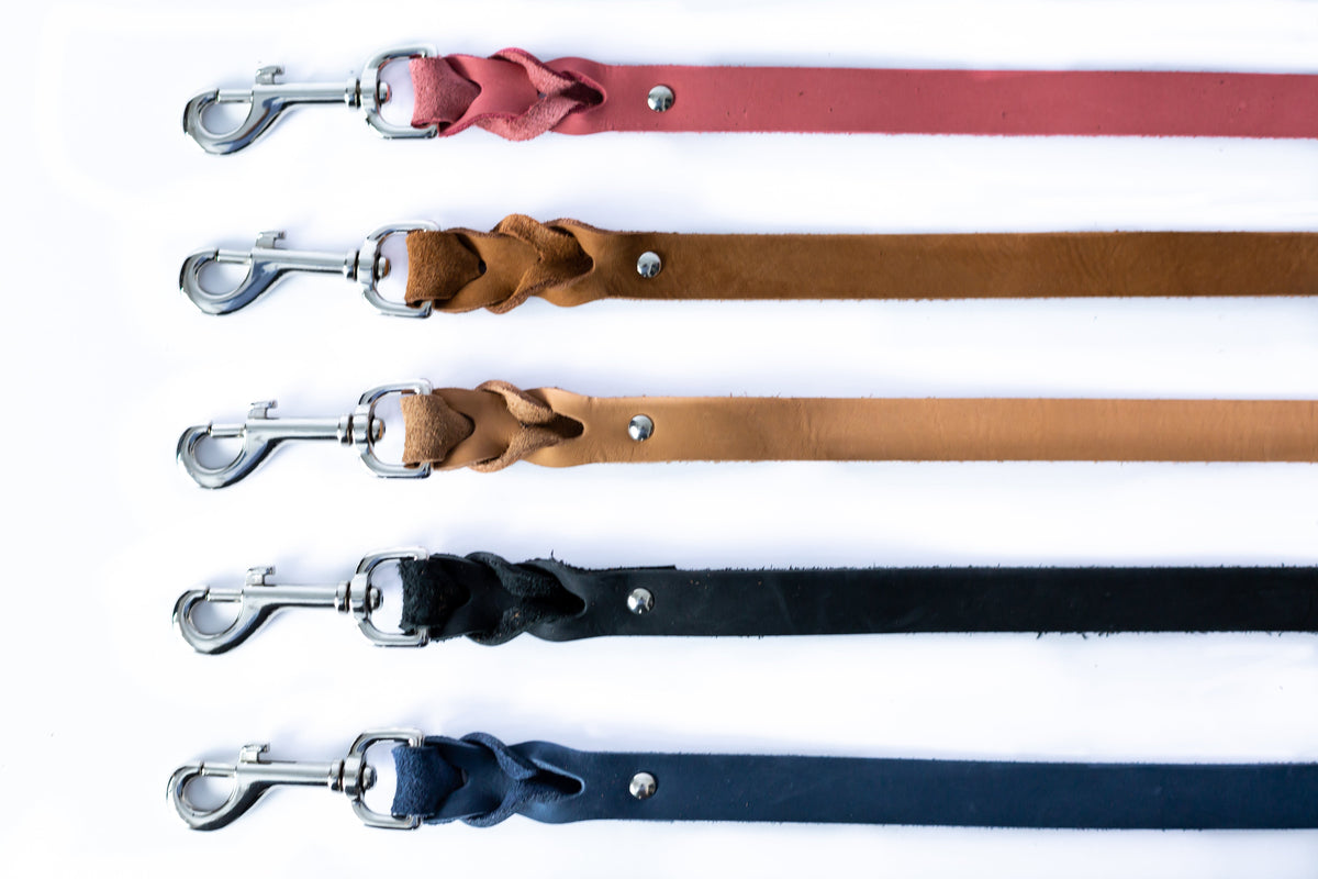 Euro-Dog Braided Leather Dog Leash