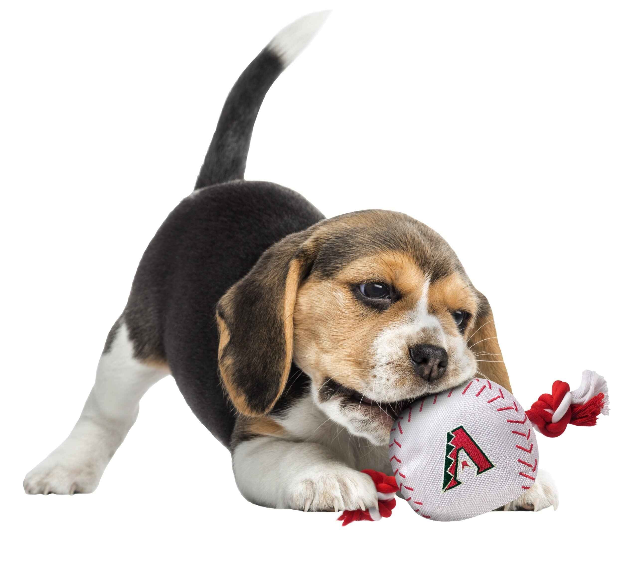 Arizona Diamondbacks Nylon Baseball Rope Toy