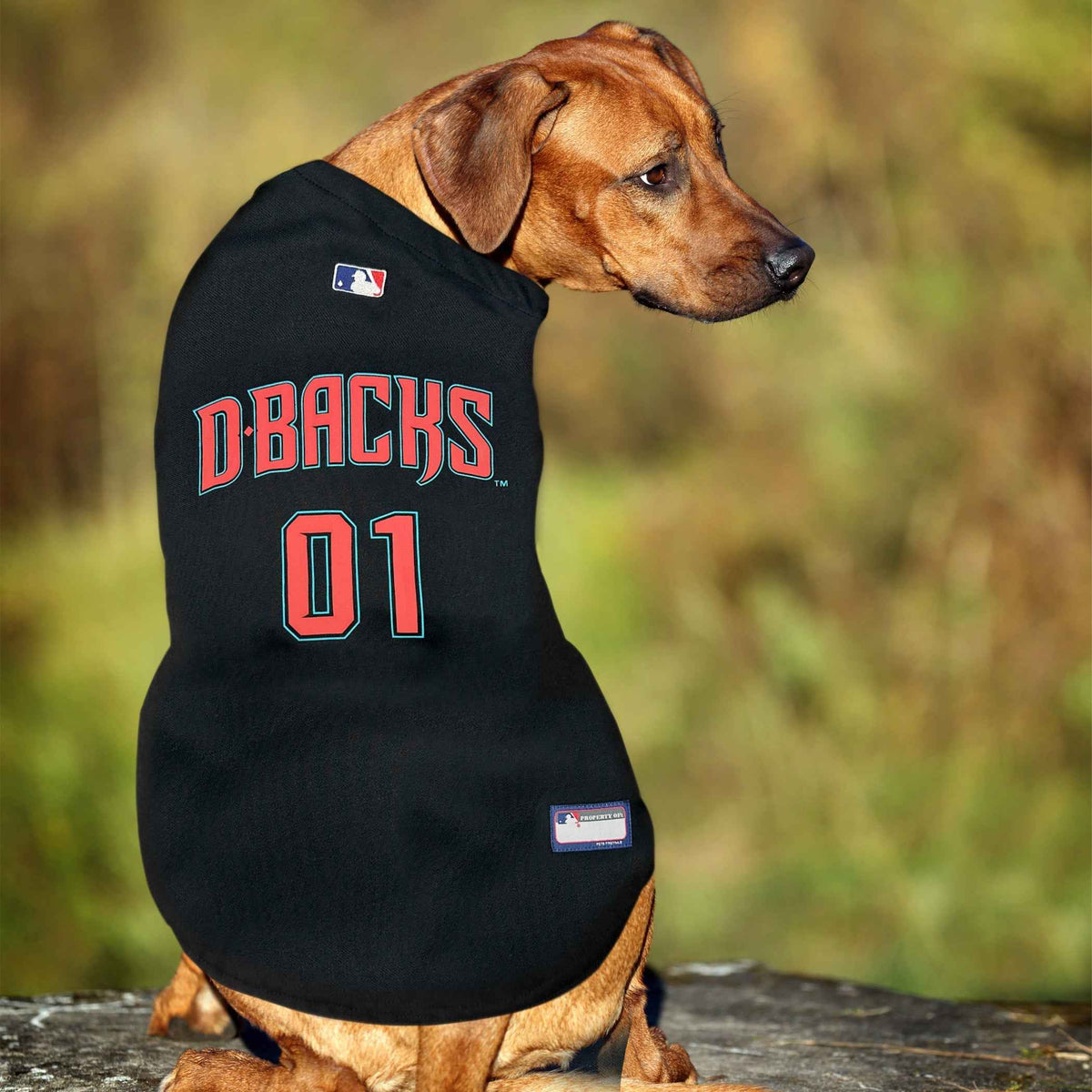 MLB Arizona Diamondbacks Mesh Pet Jersey