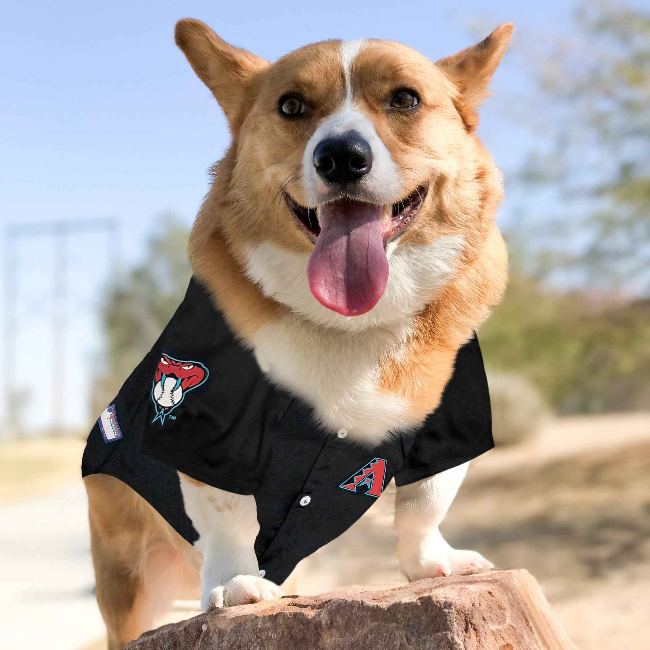 Arizona Diamondbacks Pet Jersey