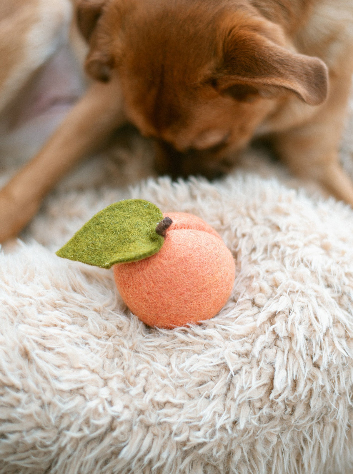 DOGGY PEACH | HT Animal Supply