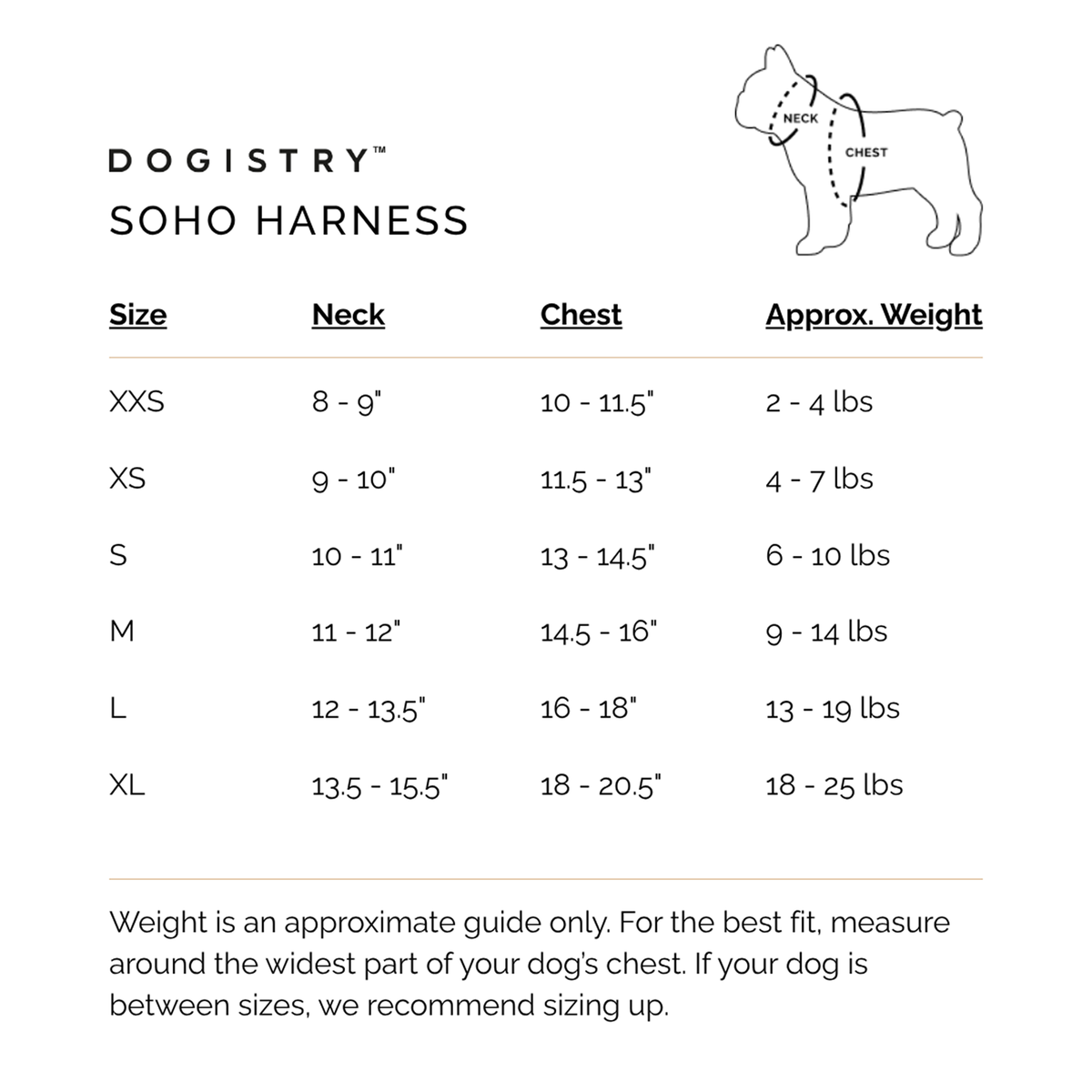DOGISTRY SoHo Dog Harness - Rockstar