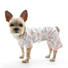 Dogo PJ Piggy