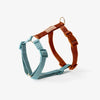 Blue and Clay - Dog Harness