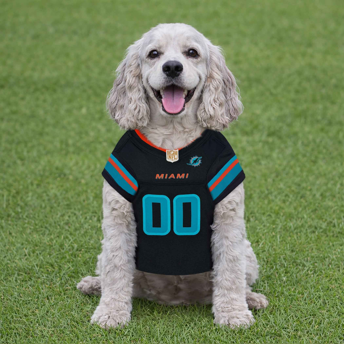 NFL Miami Dolphins Rivalry Pet Jersey