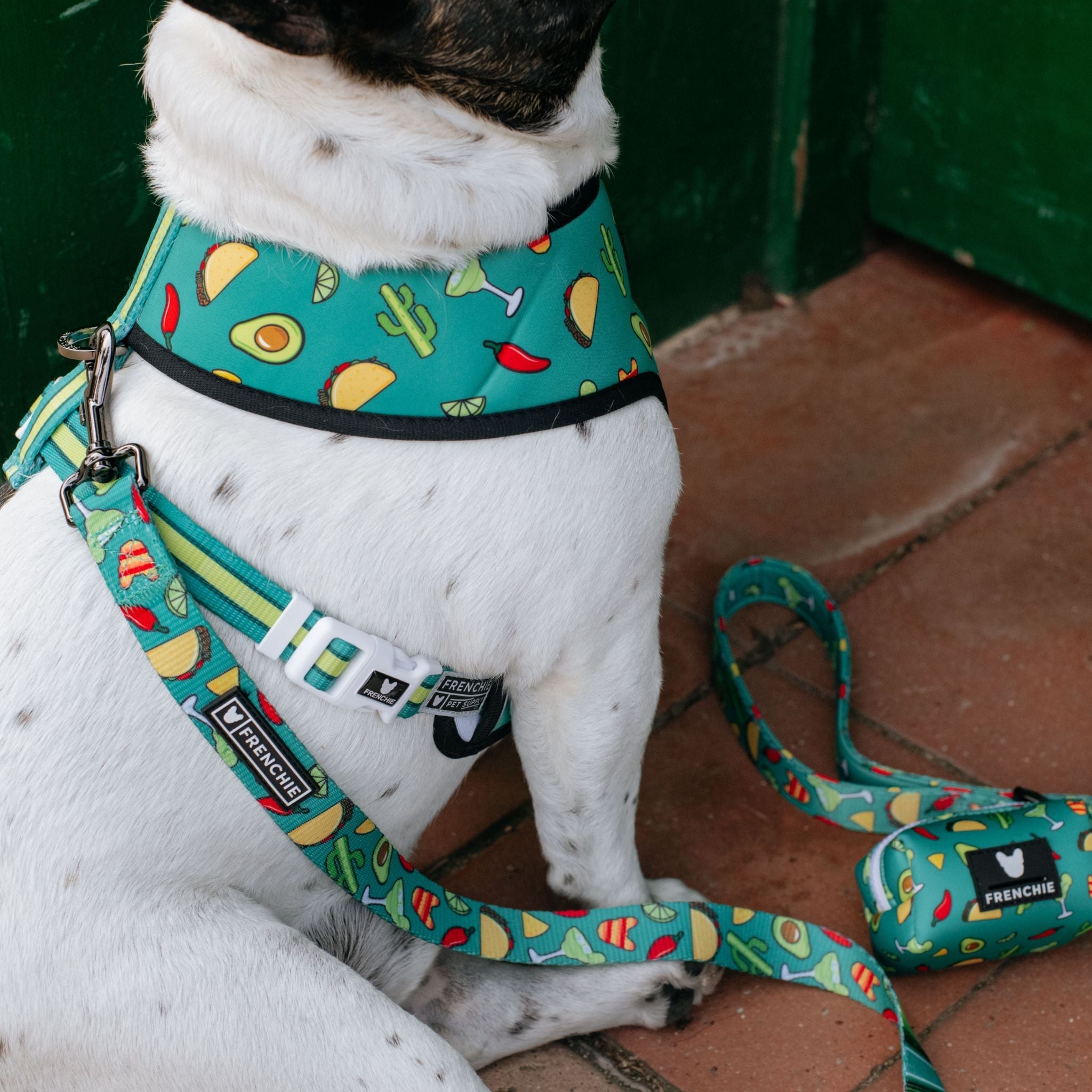 Frenchie Comfort Leash - Taco Tuesday (Green)