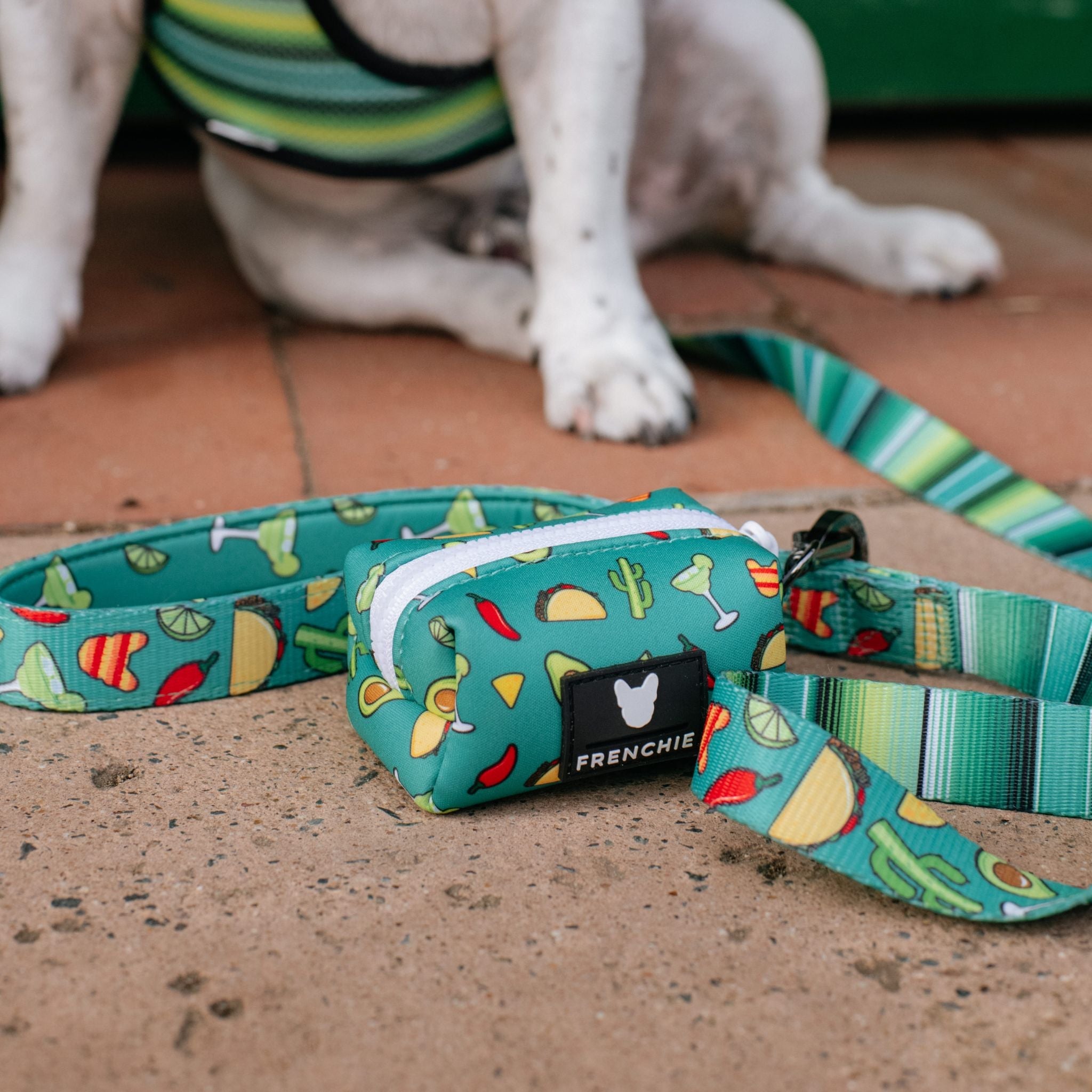 Frenchie Comfort Leash - Taco Tuesday (Green)