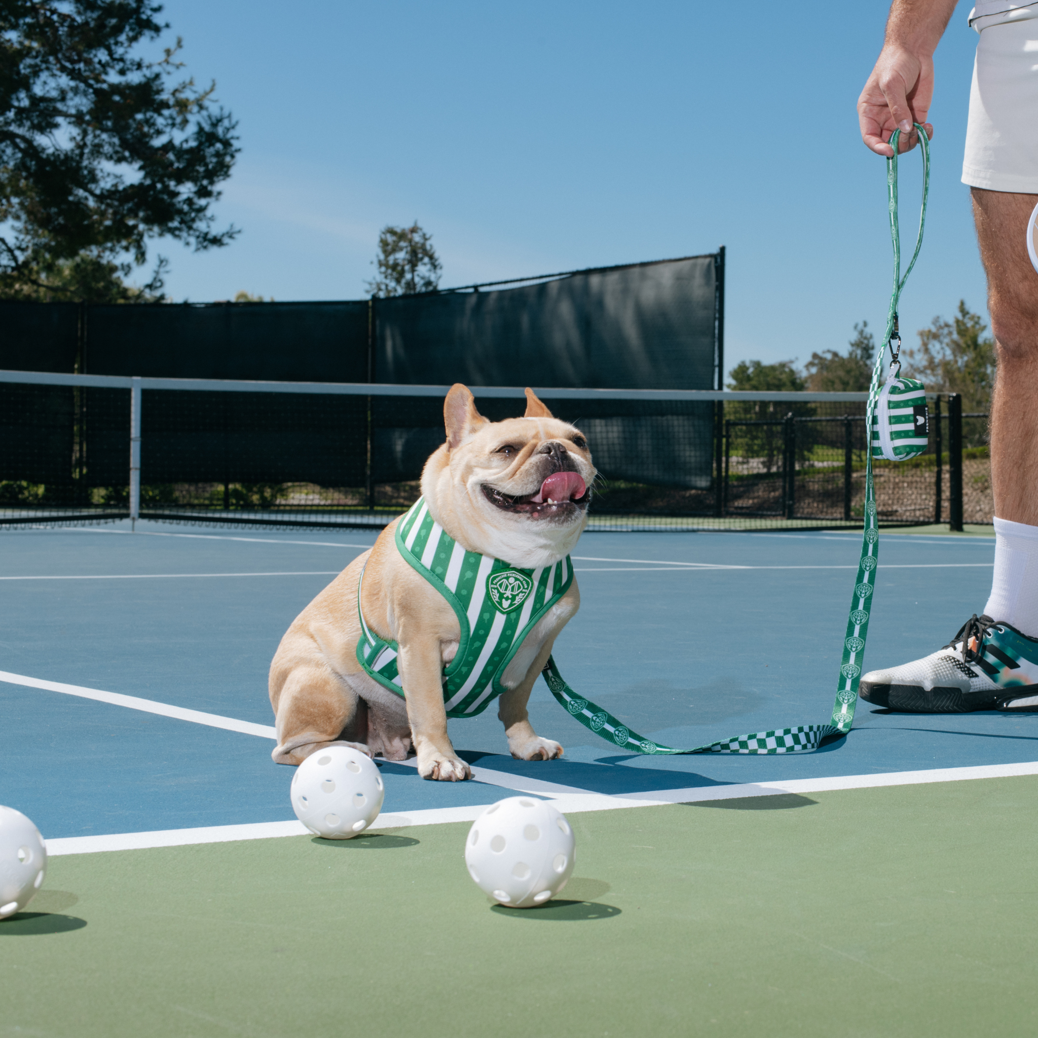 Frenchie Duo Reversible Harness - Pickleball
