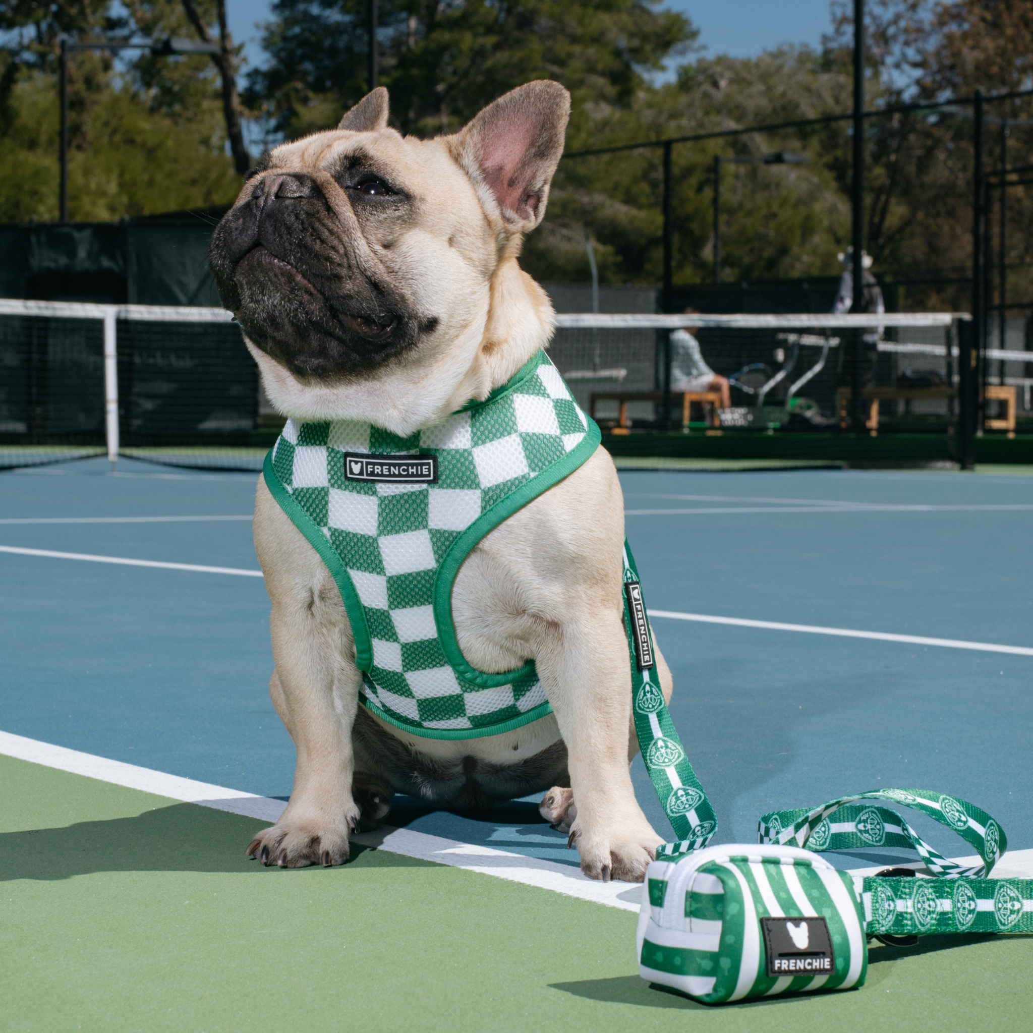 Frenchie Duo Reversible Harness - Pickleball