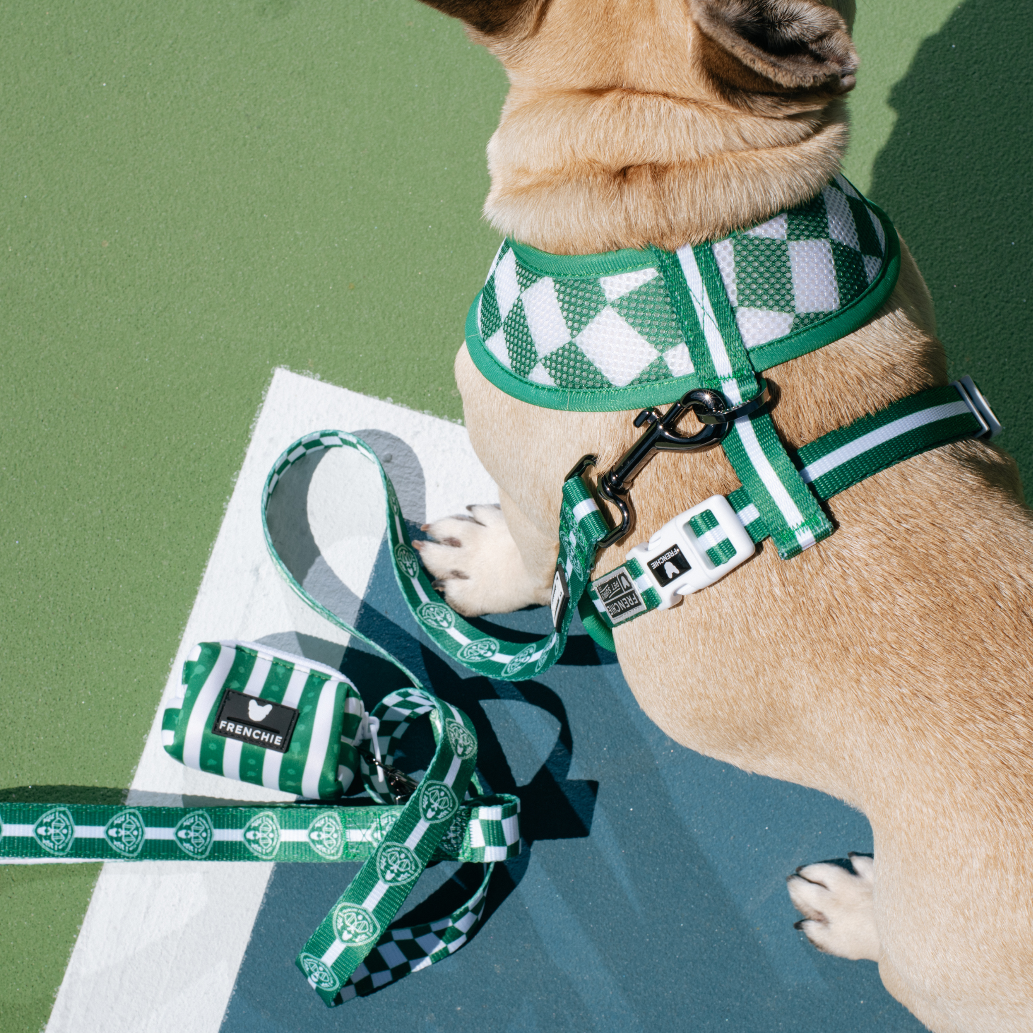 Frenchie Duo Reversible Harness - Pickleball