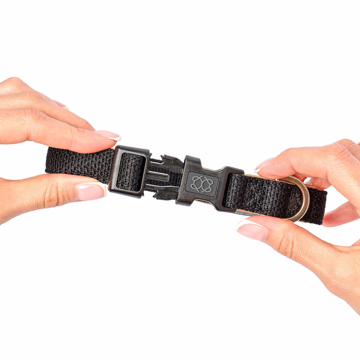 DOGISTRY City Dog Collar - Crosby