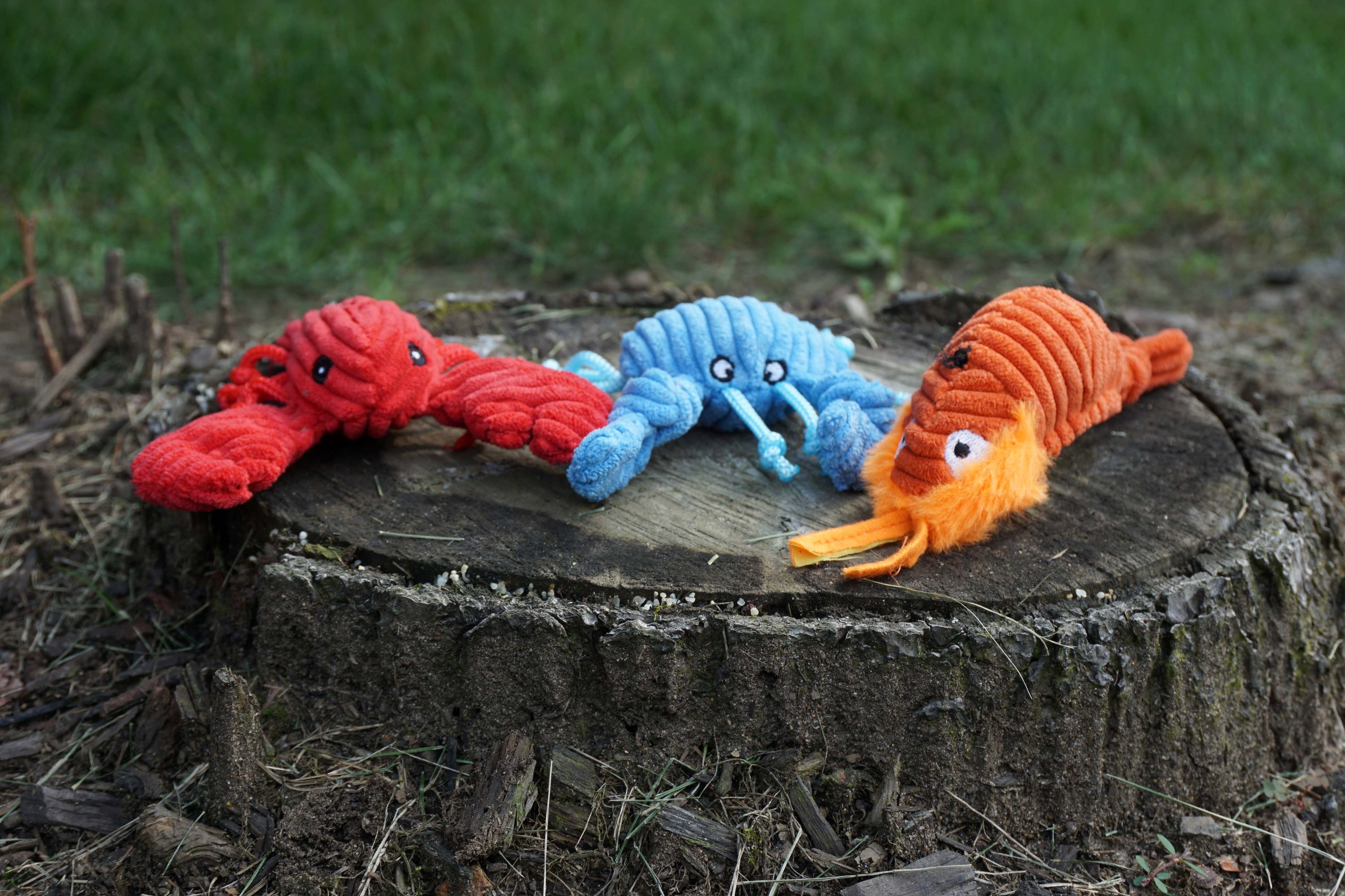 Raw Bar Wee Huggles Plush Dog Toys, 3 pack