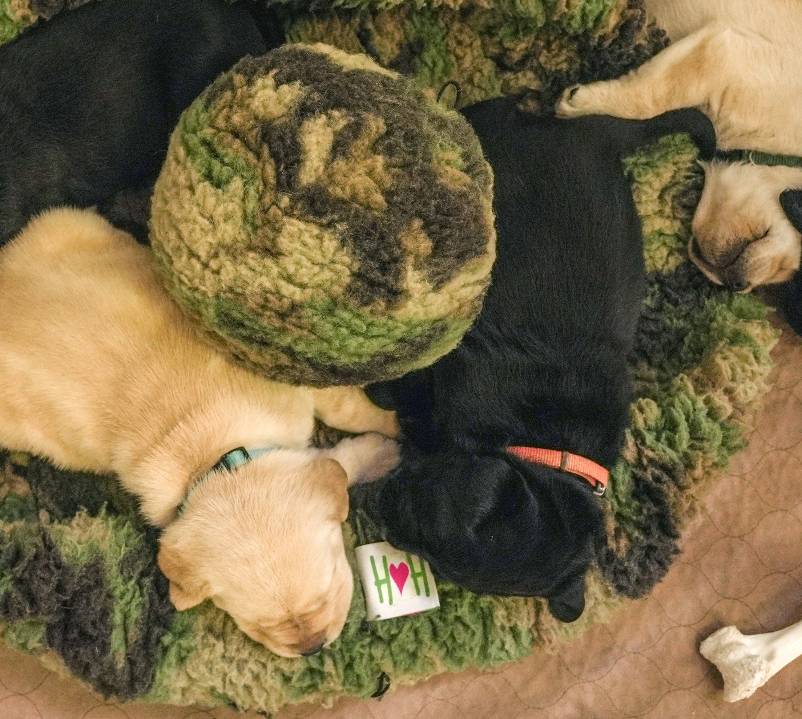 HuggleCauseTM, Warrior Canine Connection, Camouflage HuggleFleece Plush Ball Dog Toy
