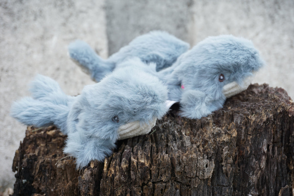 Mobie Whale Wee Huggles Plush Dog Toys, 3 Pack