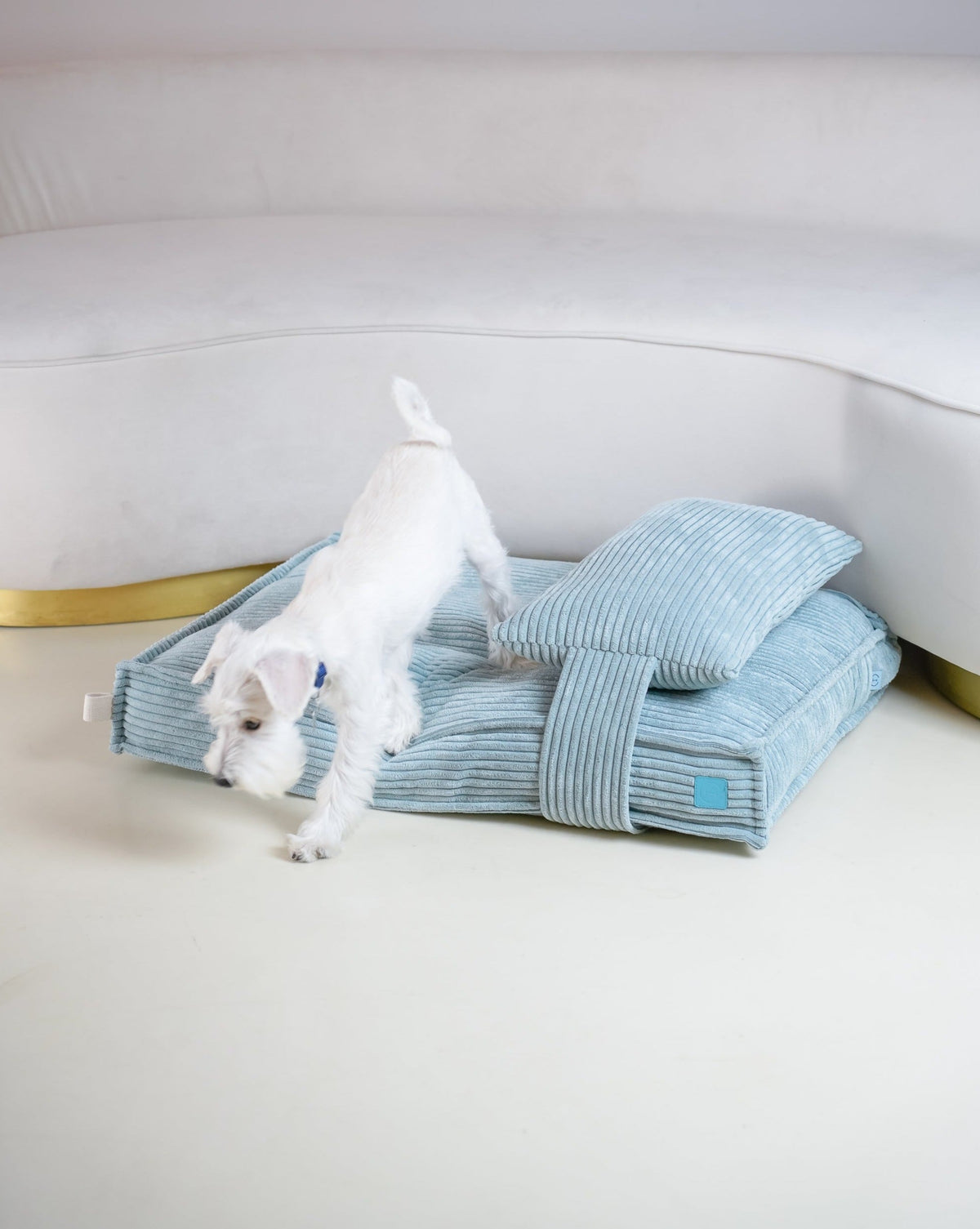 Memory Foam Dog Bed