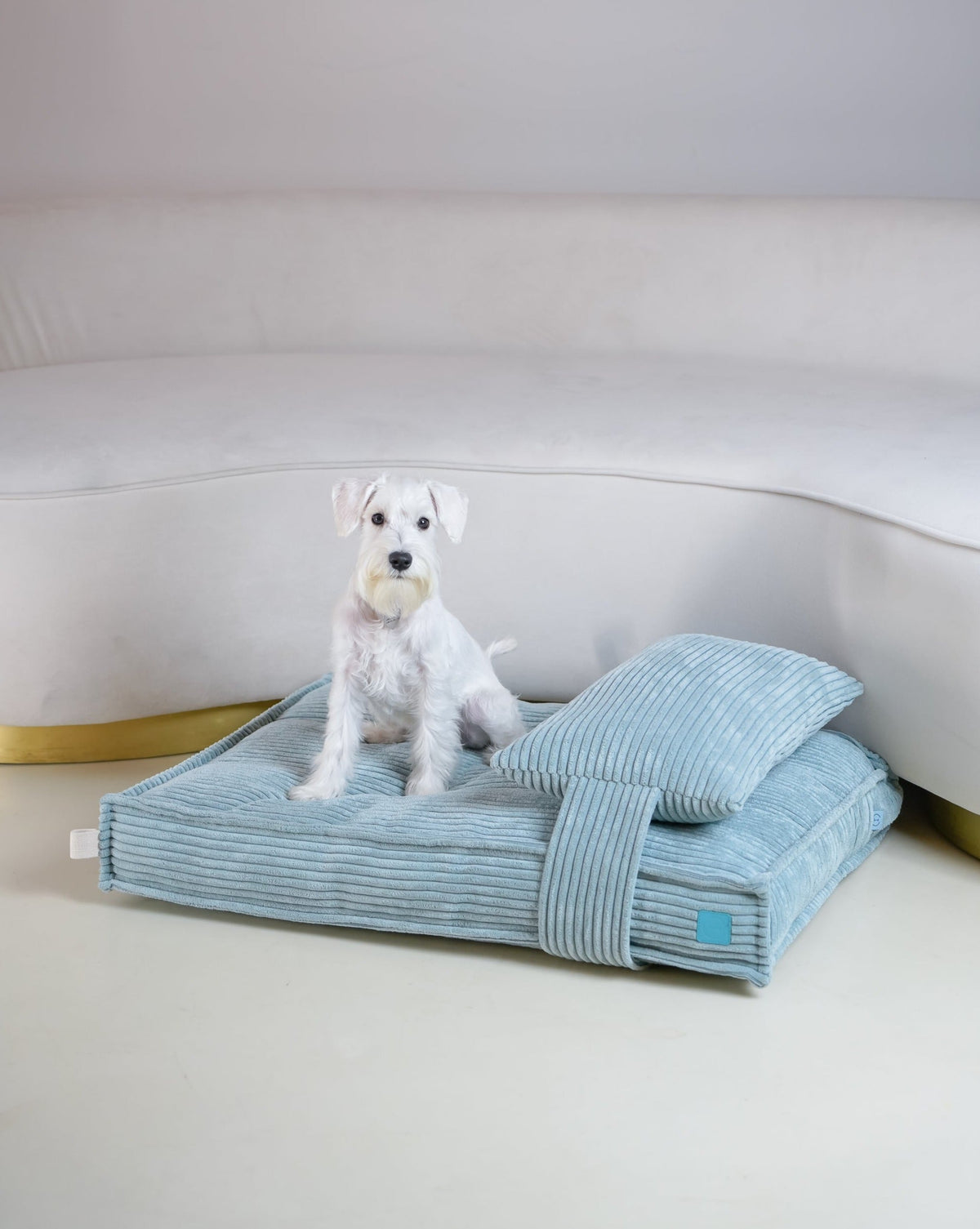 Memory Foam Dog Bed