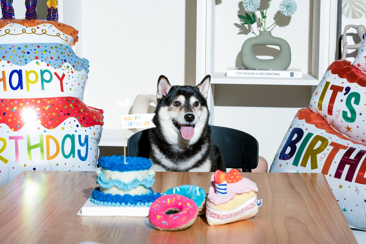 Pawty Cupcake Plush Squeaky Dog Toy