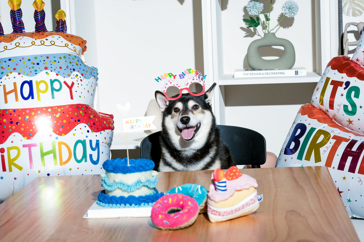 Pawty Cupcake Plush Squeaky Dog Toy